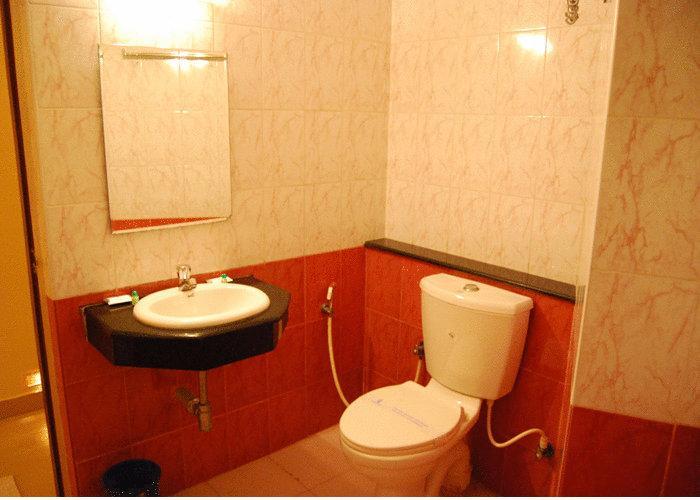 Hotel Priyadarshini Park 3*
